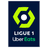 league logo