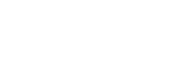 Partner 2