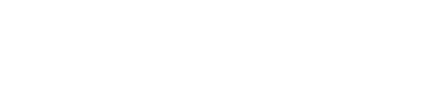 Partner 6