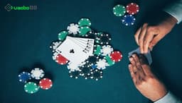 How to Play Phỏm Like a Pro: Smart Strategies to Always Win