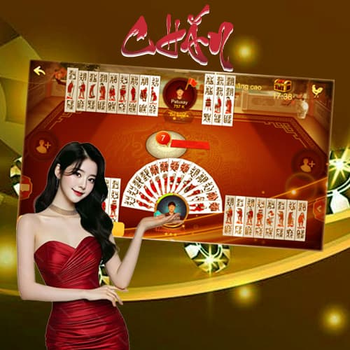 Chắn