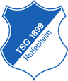 Hoffenheim logo