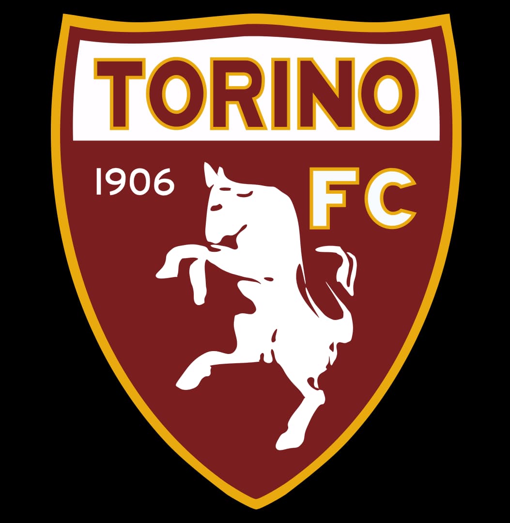 Torino logo