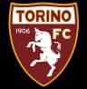 Torino logo