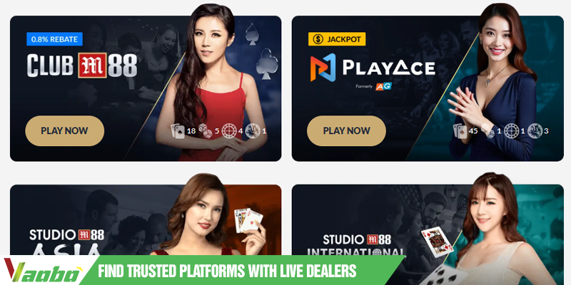 find trusted platforms with live dealers