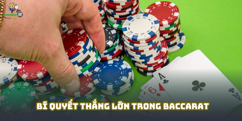 nhà cái baccarat trực tuyến