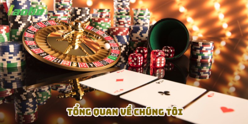 Tổng quan về chúng tôi