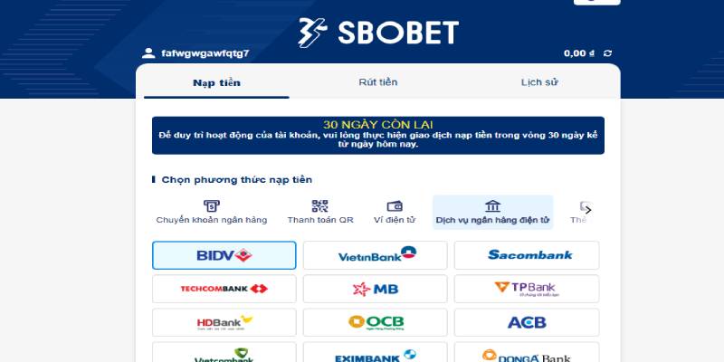 Sbobet cá cược