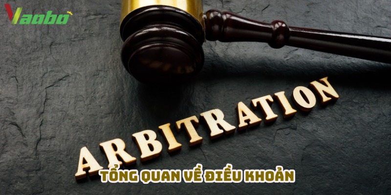 Tổng quan về các điều khoản